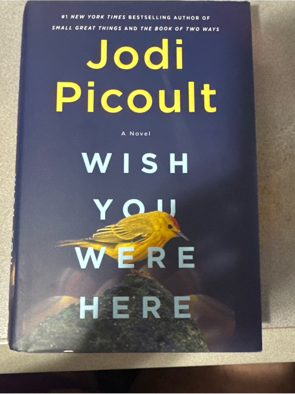 'Wish You Were Here' Hardcover Book by Jodi Picoult